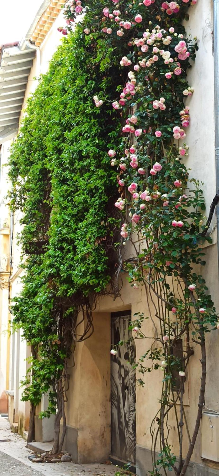 L'Appartement De La Roquette Centre Historique آرْلْ المظهر الخارجي الصورة